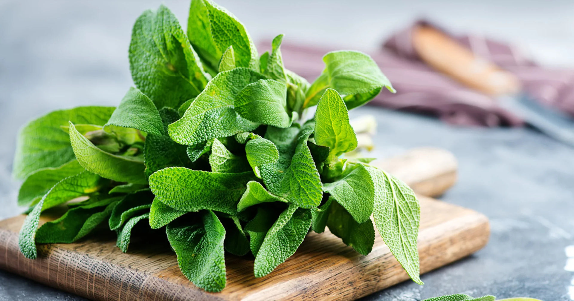 Flavoring Food With Brain-Smart Herbs and Spices