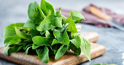 Flavoring Food With Brain-Smart Herbs and Spices