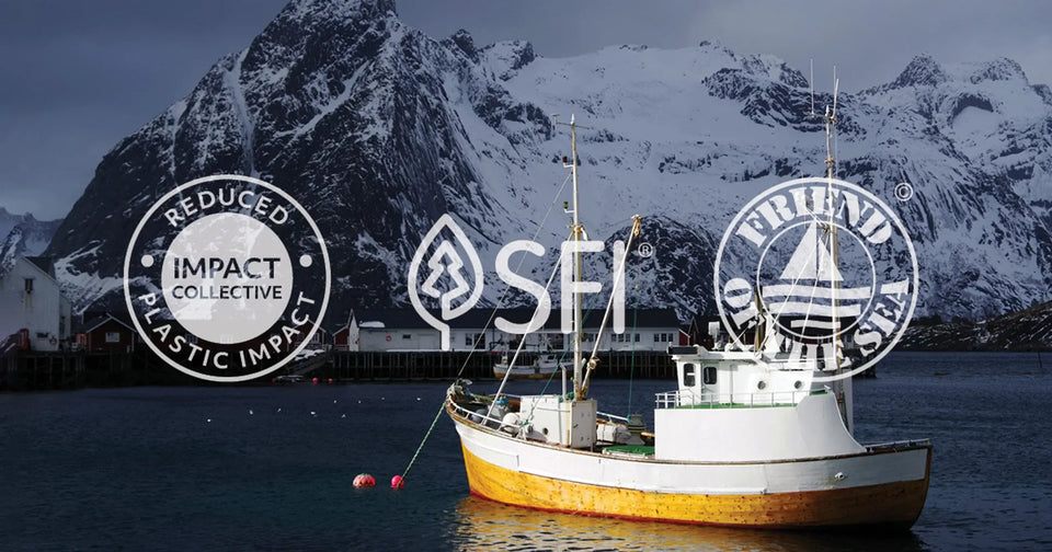 The Carlson Sustainability Story