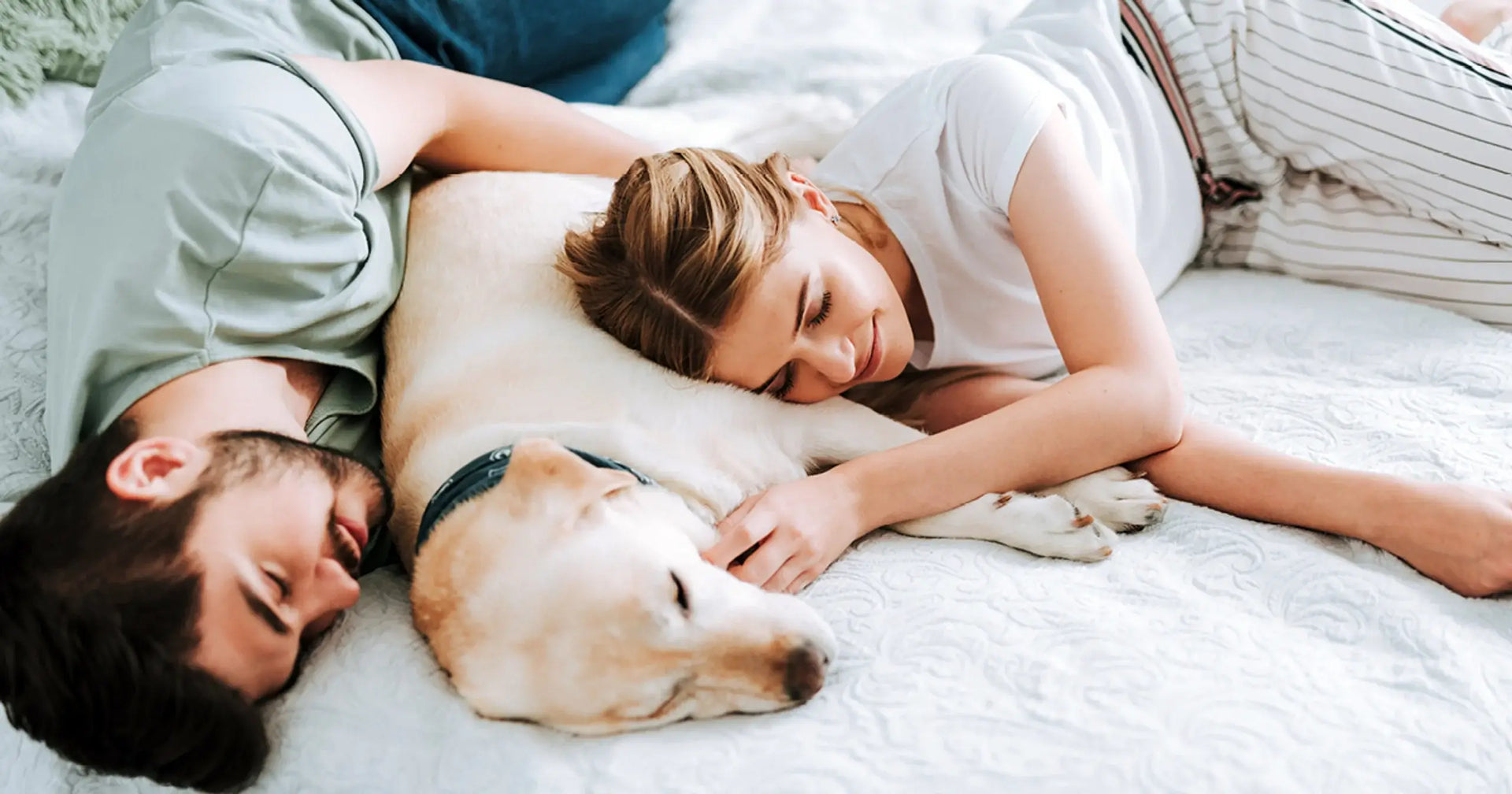 Sleep and How It Affects Our Immunity