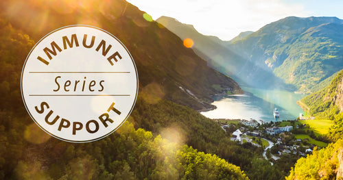 Immune Support Series