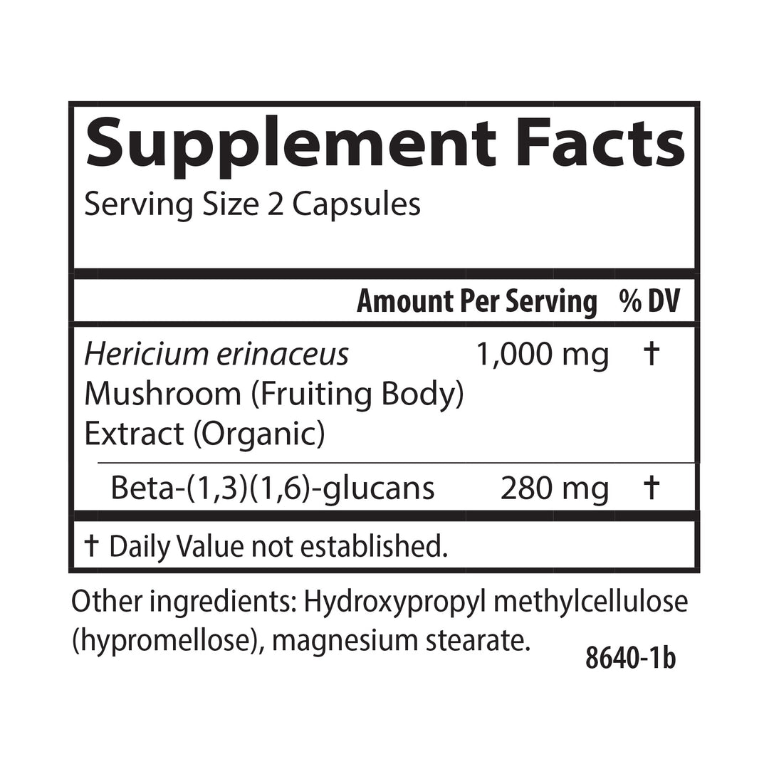 Lion's Mane Mushroom