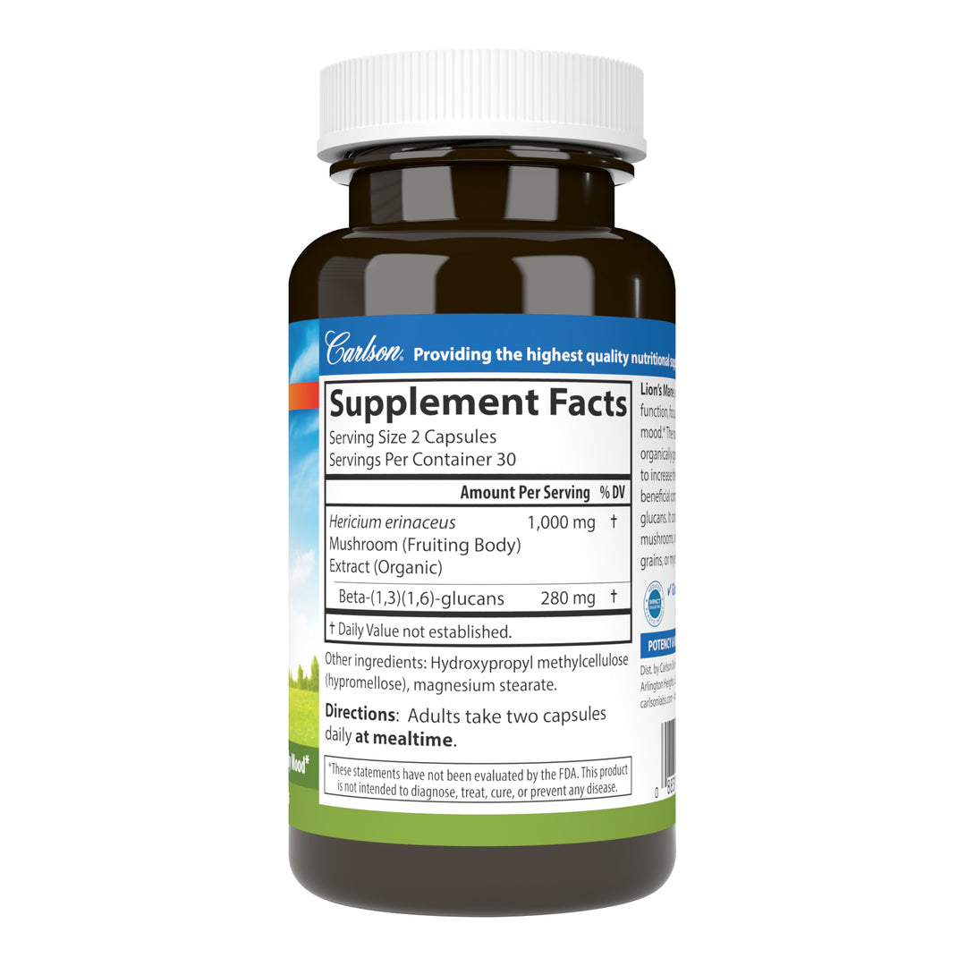 Lion's Mane Mushroom