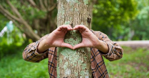 An Update on Our Plastic Neutral Journey