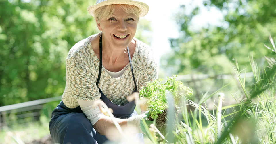 Nutrients that Support Aging Gracefully