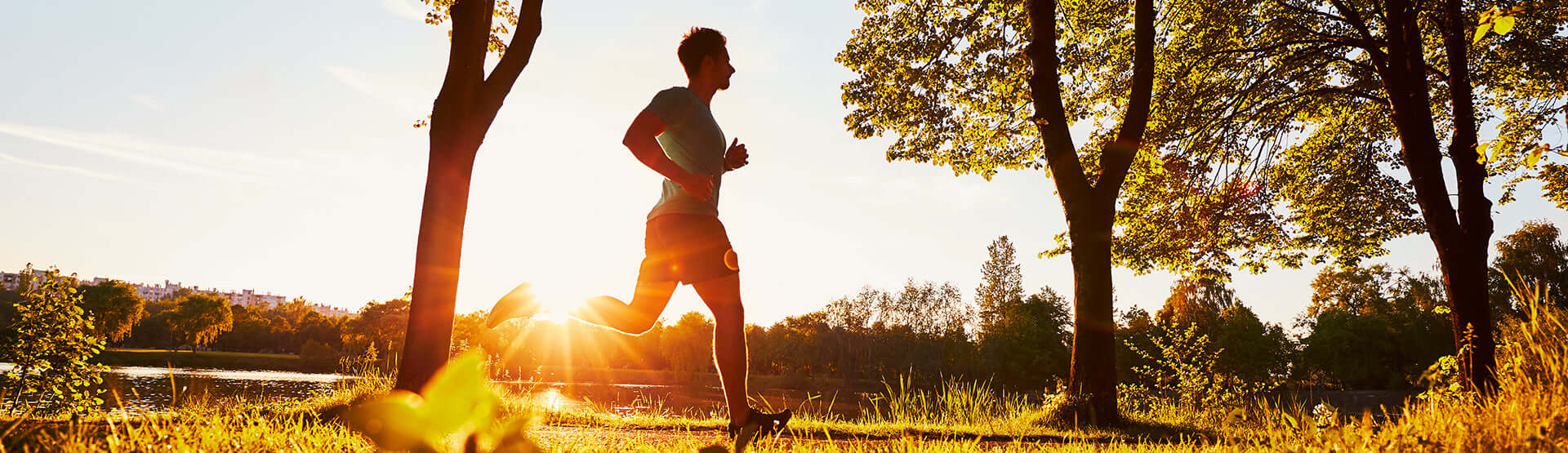 Men's Health Supplements