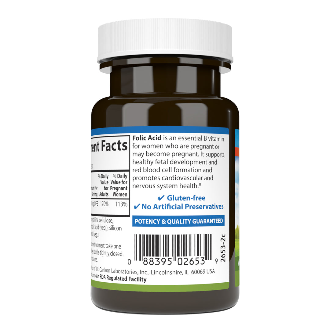 Folic Acid 400 mcg