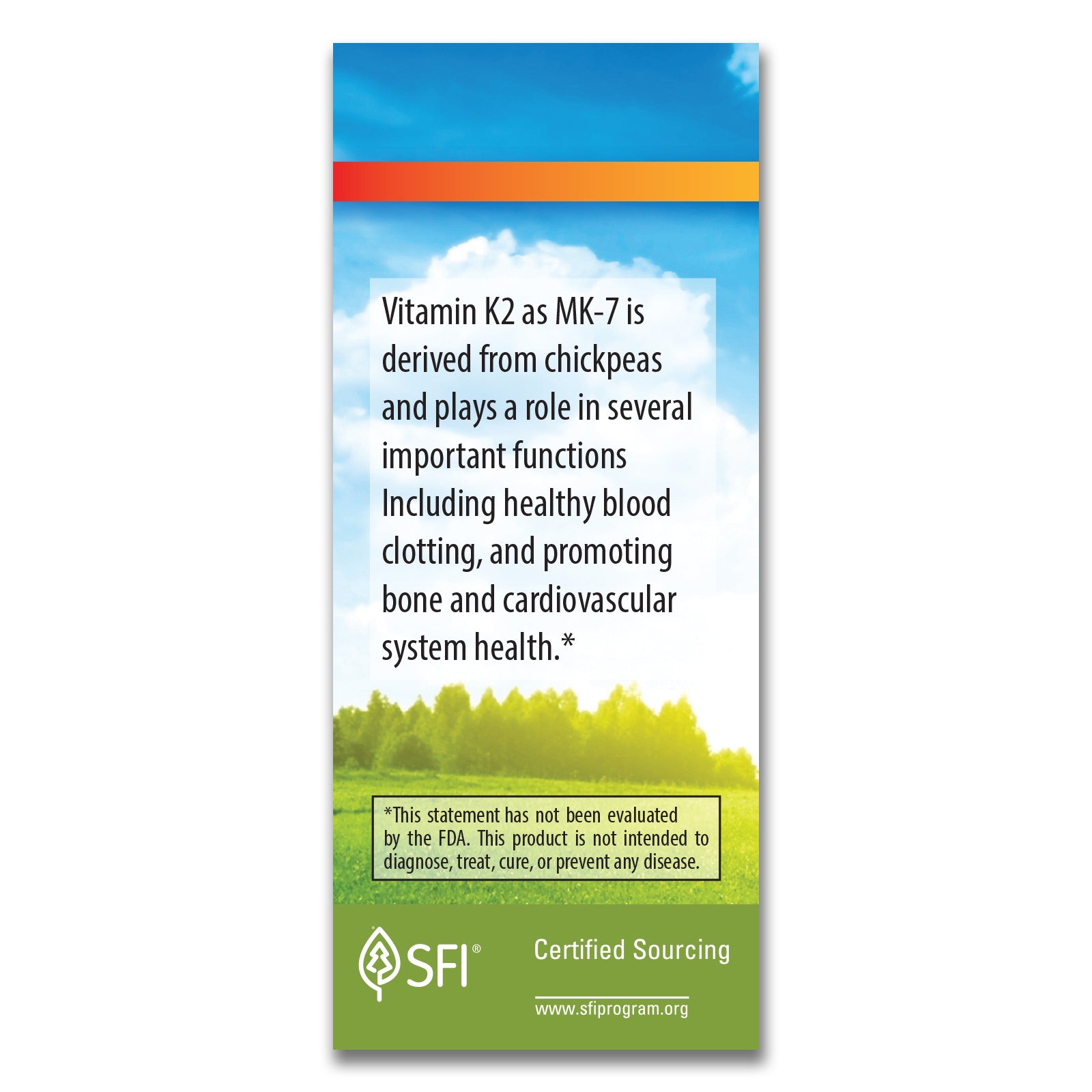 High-Quality Liquid Vitamin K2 for Bone Support