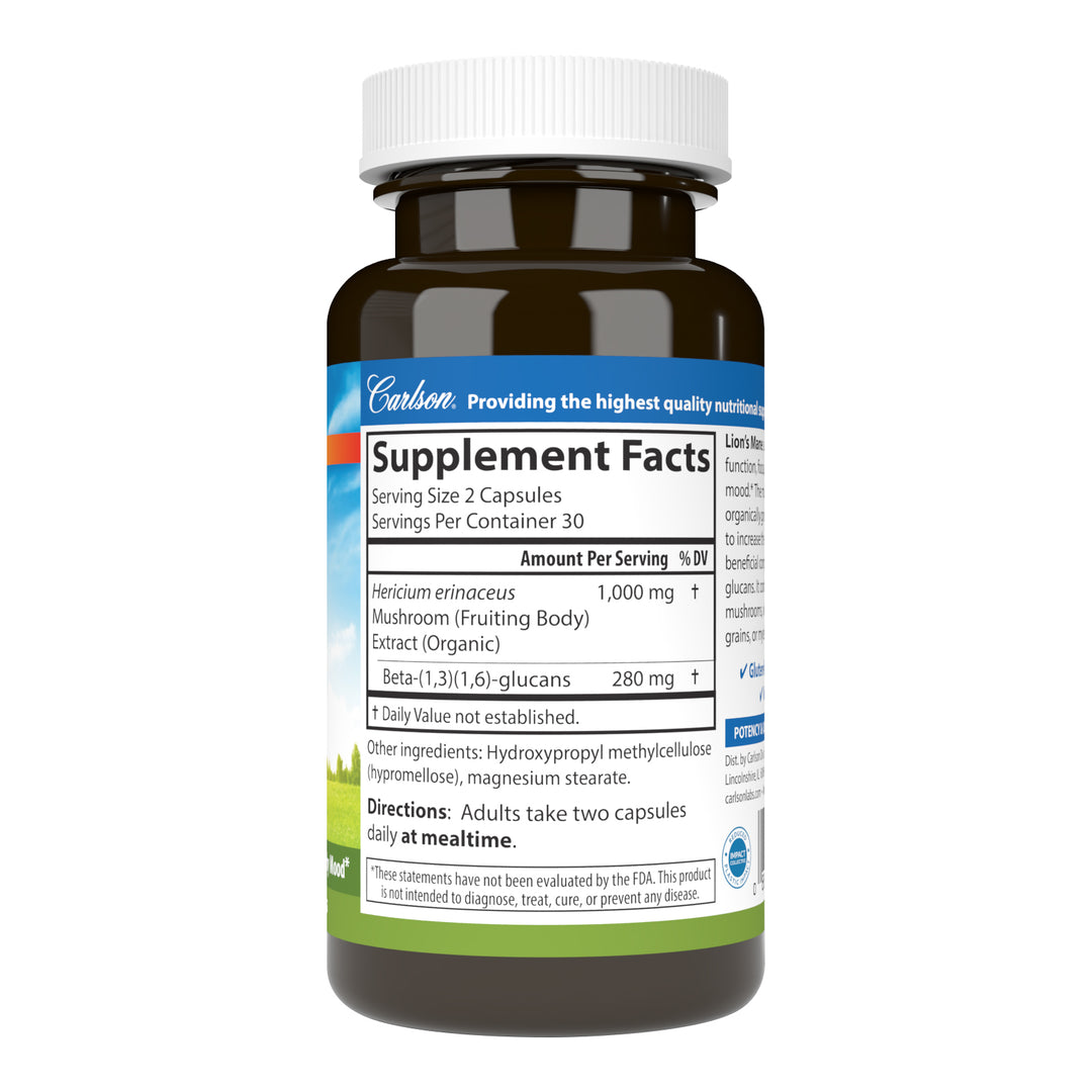 Lion's Mane Mushroom