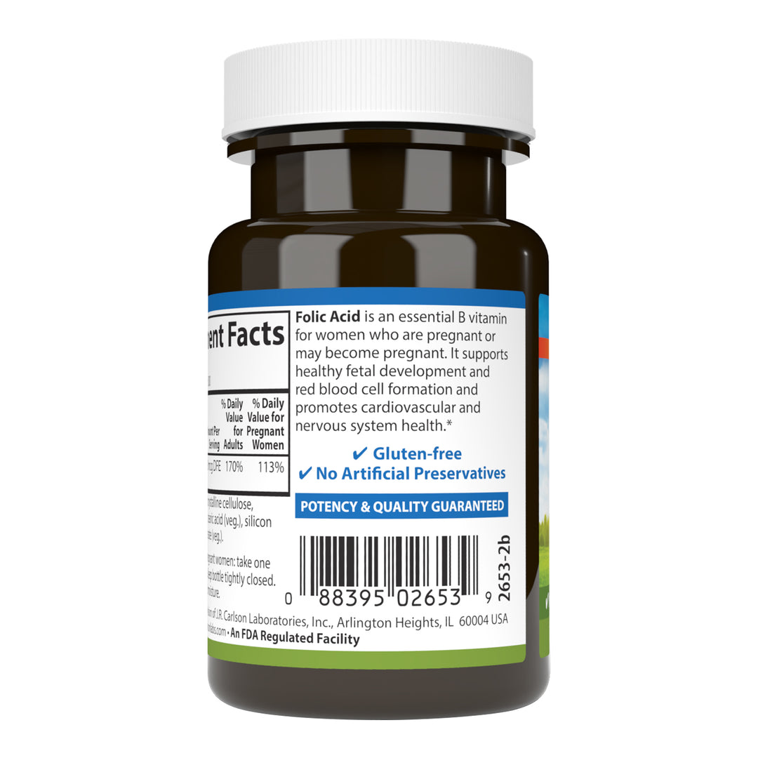 Folic Acid 400 mcg